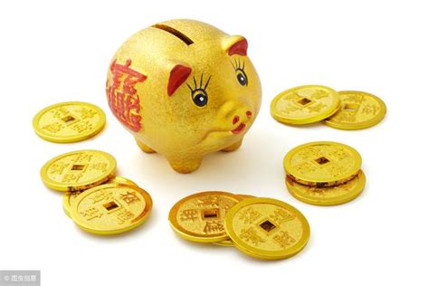 金豬年|農村老人說今年是「金豬年」，到底啥是「金豬年」？